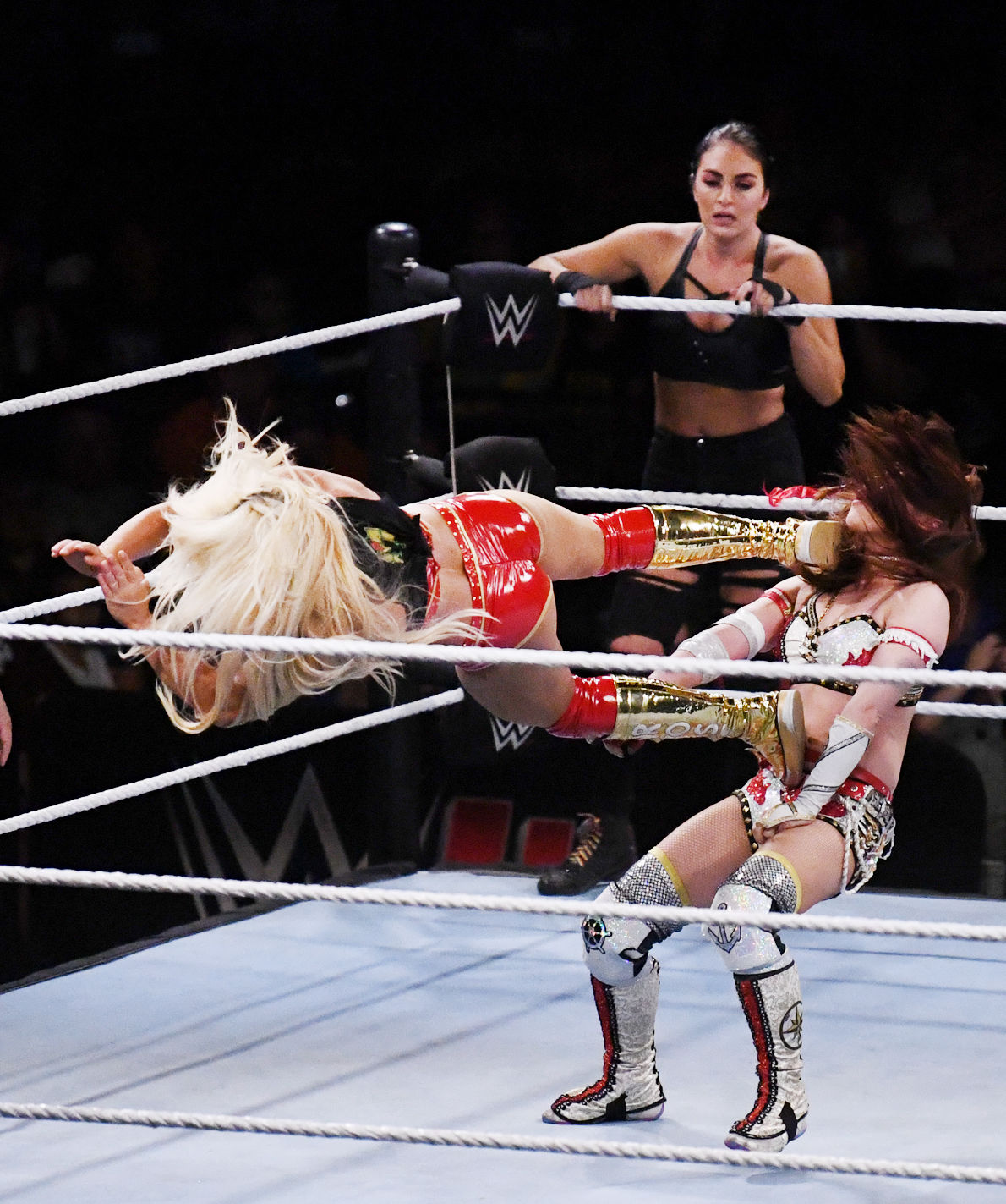 WWE at Reed Arena